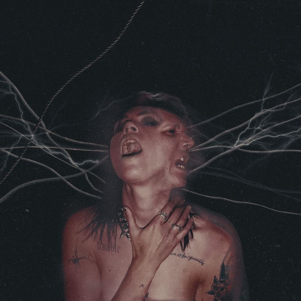 

Диск CD A Call To The Void - Hot Milk