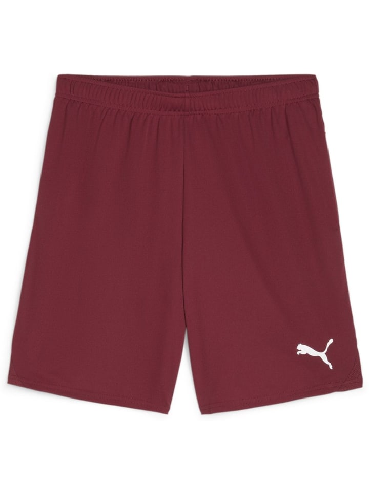 

Спортивные шорты TeamGoal Shorts красного цвета Puma