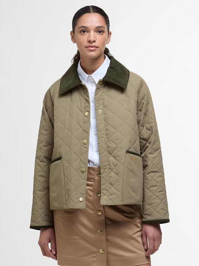 

Модифицированная стеганая куртка anise Barbour, цвет Dusky Green/Ancient