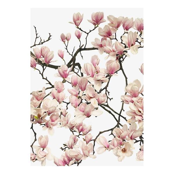 

Фреска A.S. Création Flora Magnolia цвет weiß/rosa