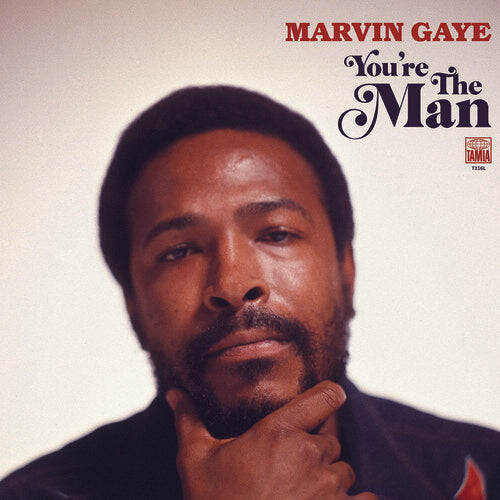

Виниловая пластинка Gaye, Marvin: You're The Man