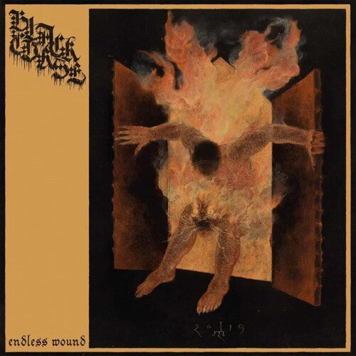 

CD диск Black Curse: Endless Wound