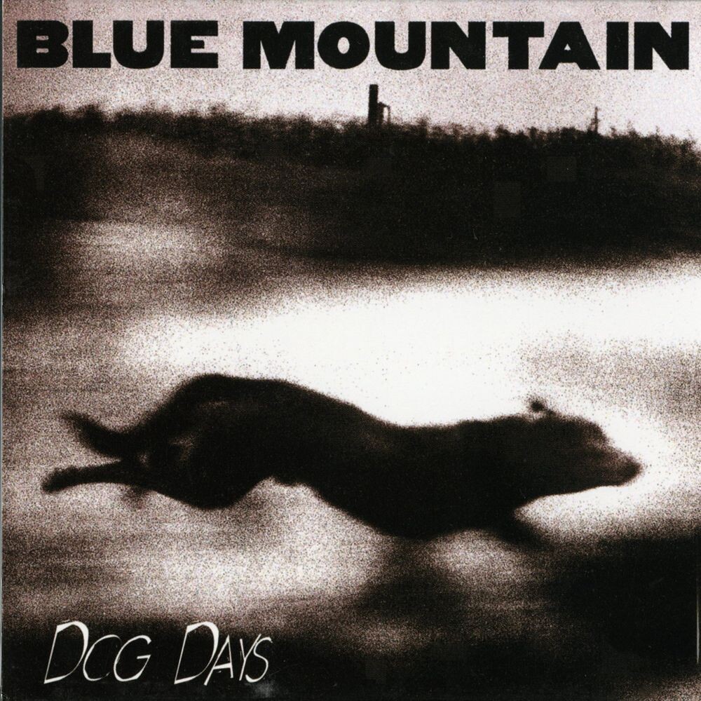 

Виниловая пластинка LP Dog Days [Bonus Tracks] - Blue Mountain