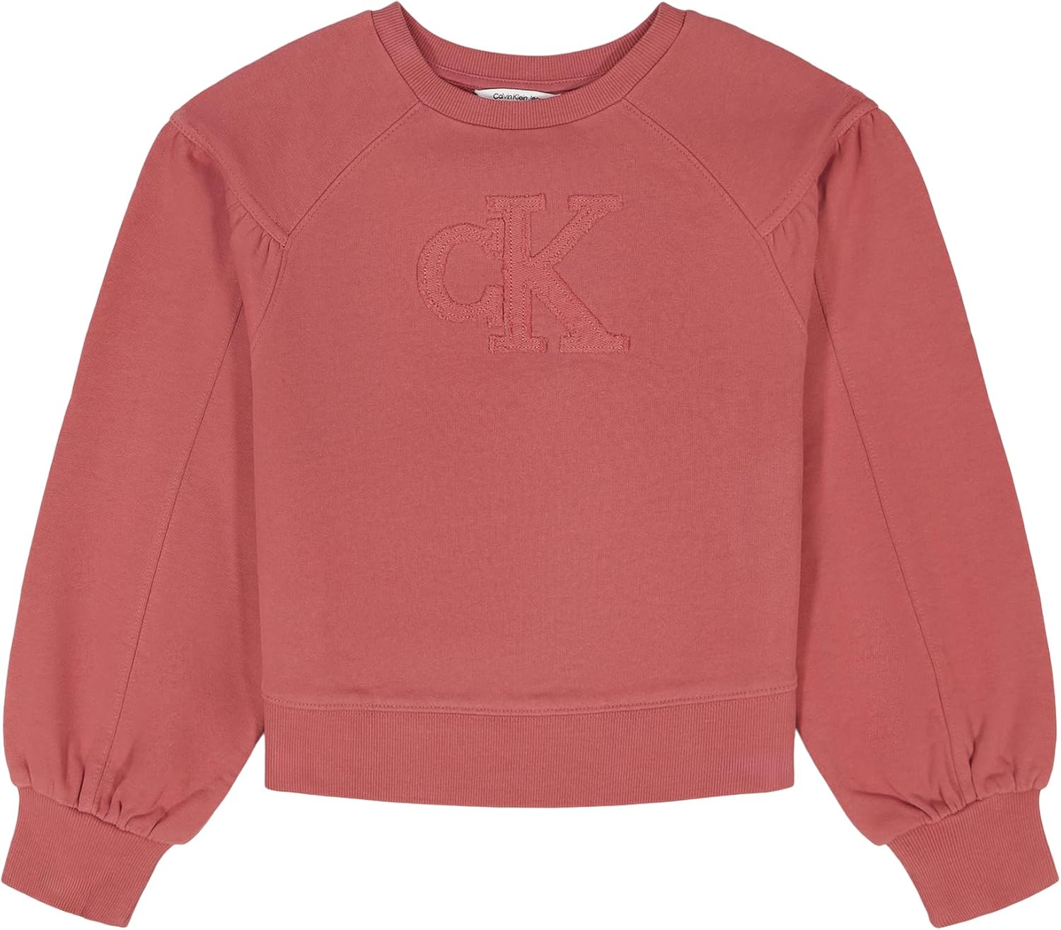 Уютная толстовка Calvin Klein с длинными рукавами и круглым вырезом для девочек, French Terry Mauvewood