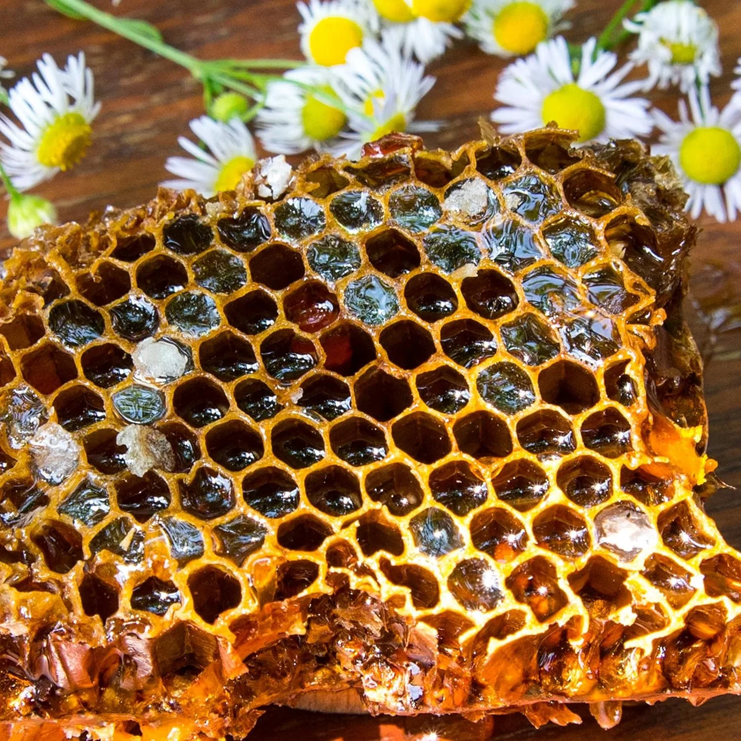 Крем для лица Martina Gebhardt — С прополисом «PROPOLIS Cream» от — фото 4