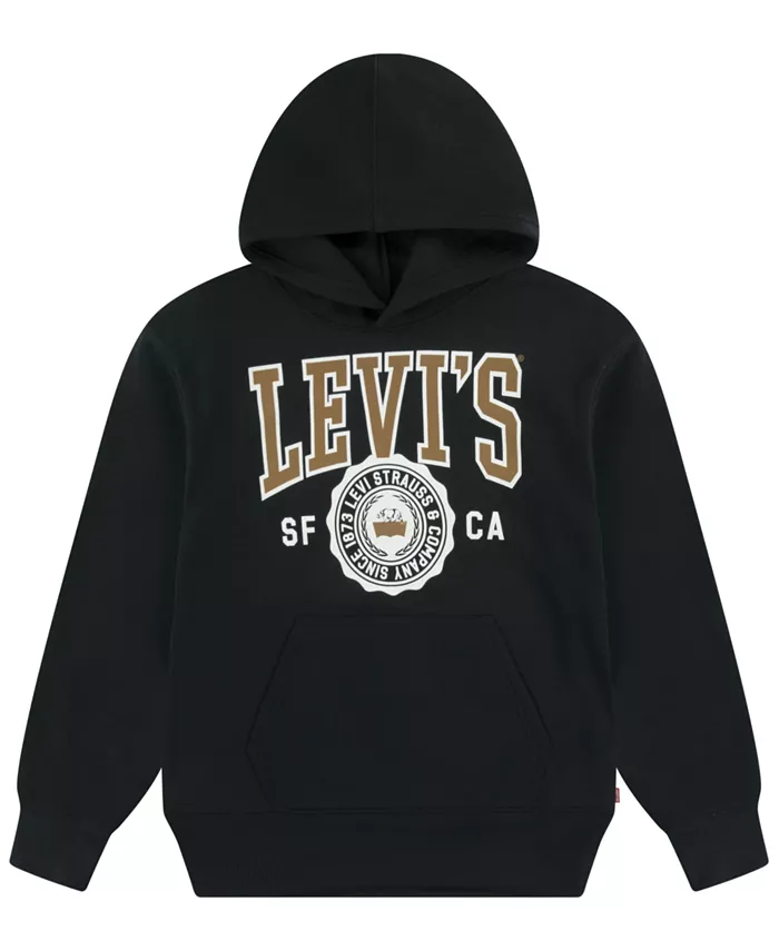 

Спортивный худи с длинным рукавом для мальчиков 8-20 Levi'S, серый