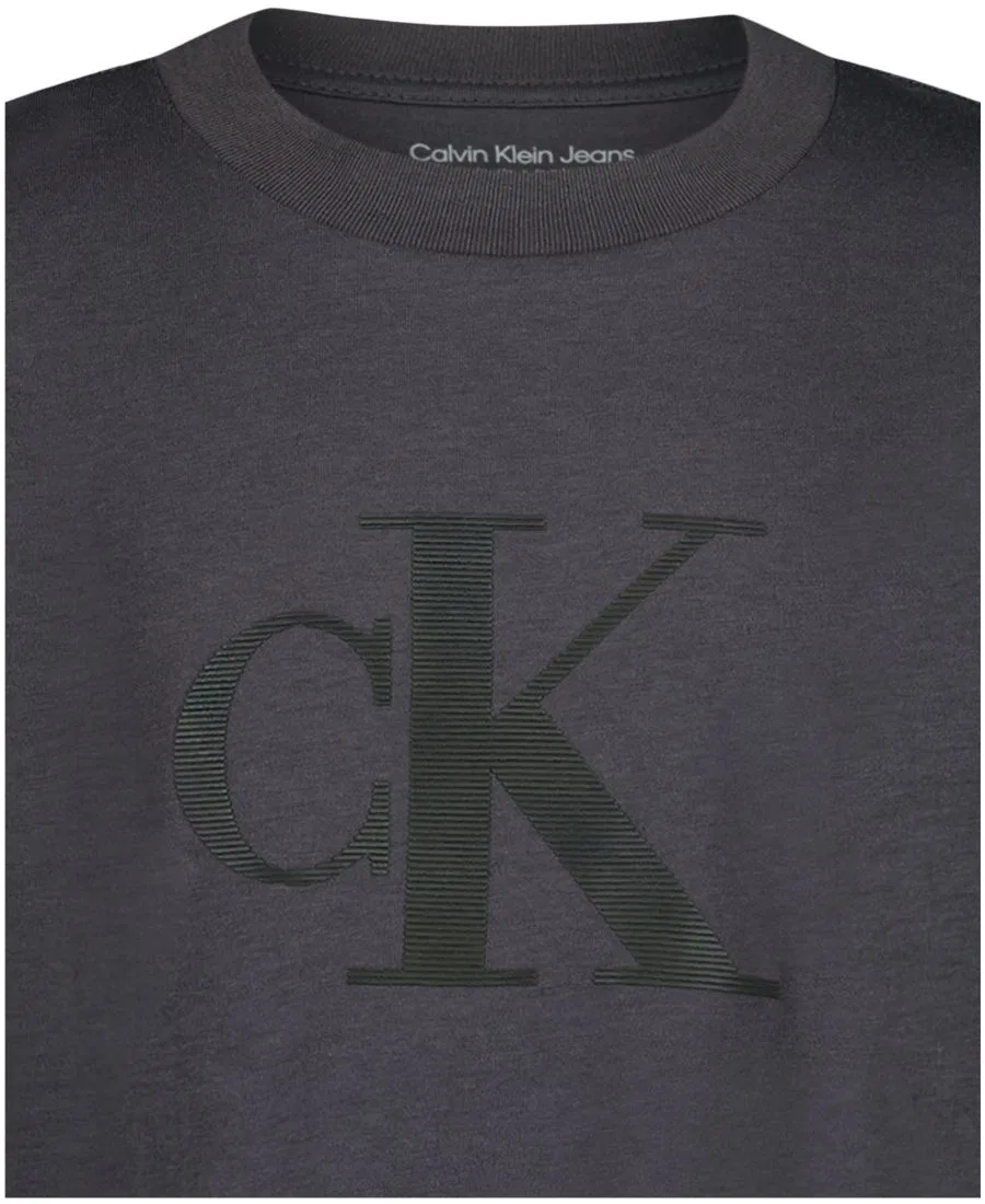 Детская футболка с коротким рукавом, размер 8-20 (линейный крой) Calvin Klein — фото 4