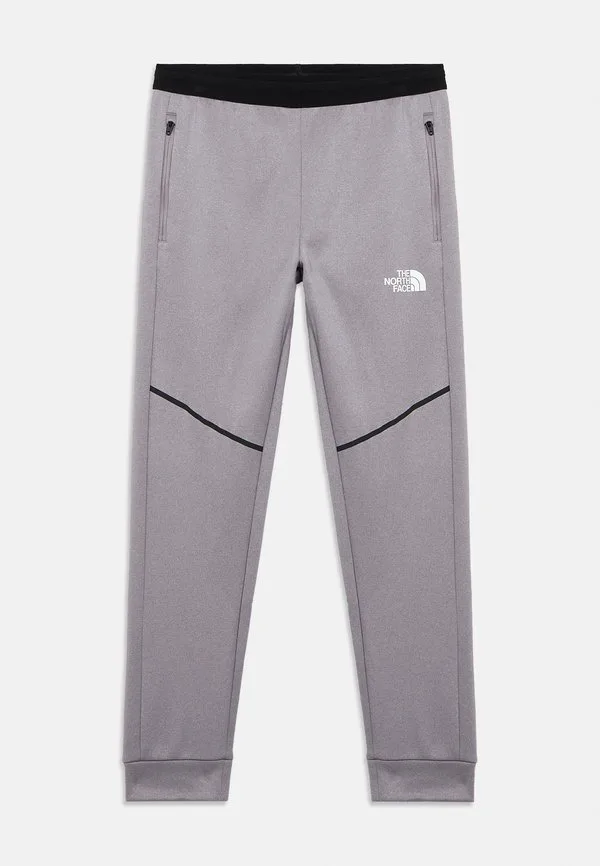Спортивные штаны унисекс для горной атлетики The North Face, Transcendent Grey