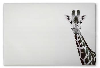 

Картина на холсте A.S. Création Giraffe Portrait, черно-белый