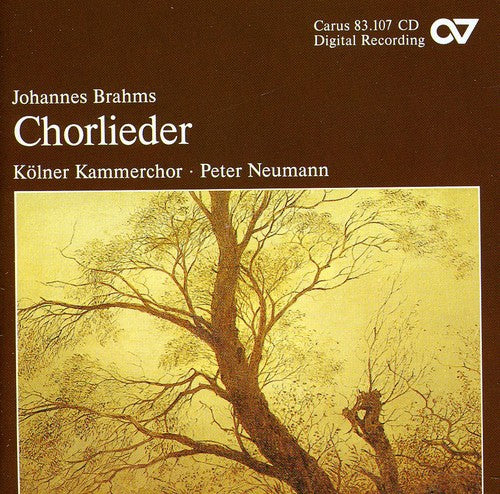 

CD диск Brahms / Palm / Cologne Chamber Choir / Neumann: Songs for Choir