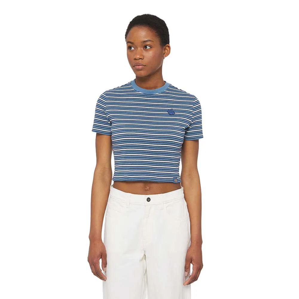 

Футболка Dickies Altoona Stripe, синий