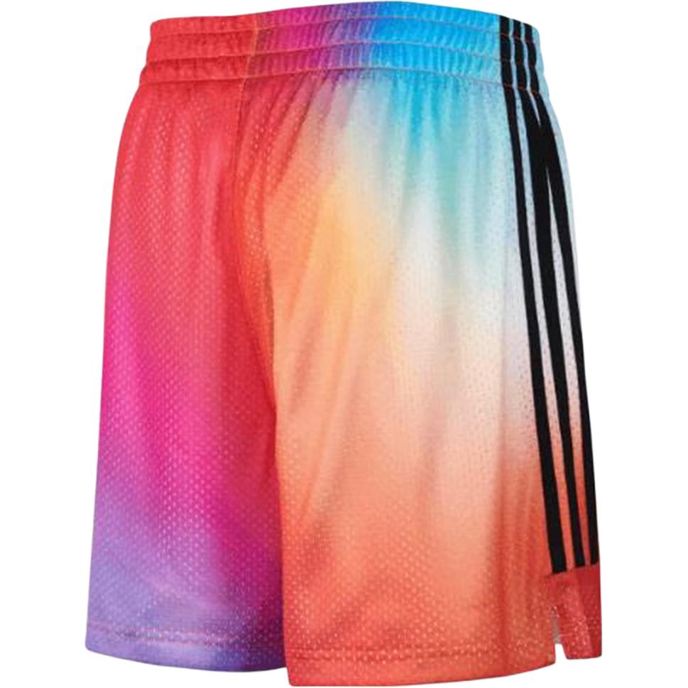 Adidas Мужские повседневные шорты мультиколор — фото 4