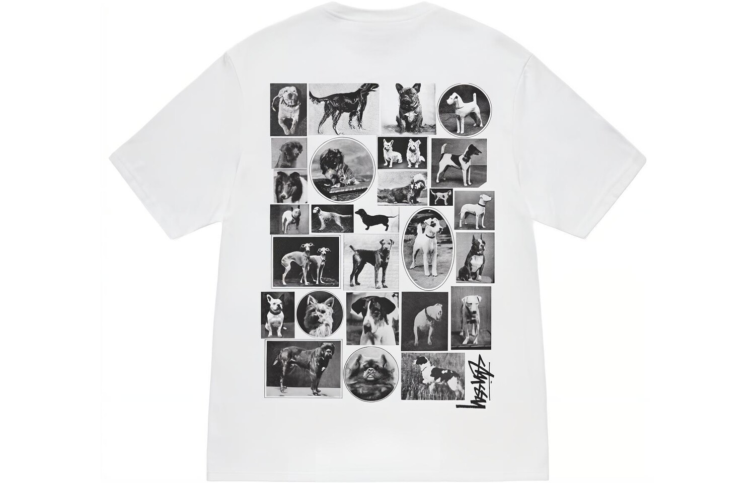 

Футболка из коллекции осень/зима FW23 унисекс Stussy, белый