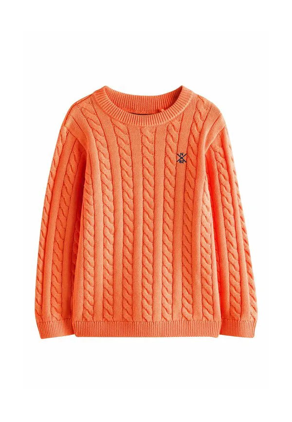 Джемпер с круглым вырезом и косами стандартного кроя Next, Orange