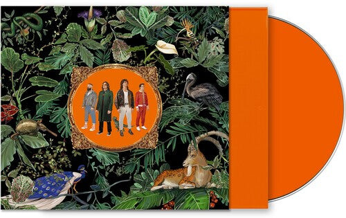 

CD диск Don Broco: Amazing Things (Orange Jewel Case)