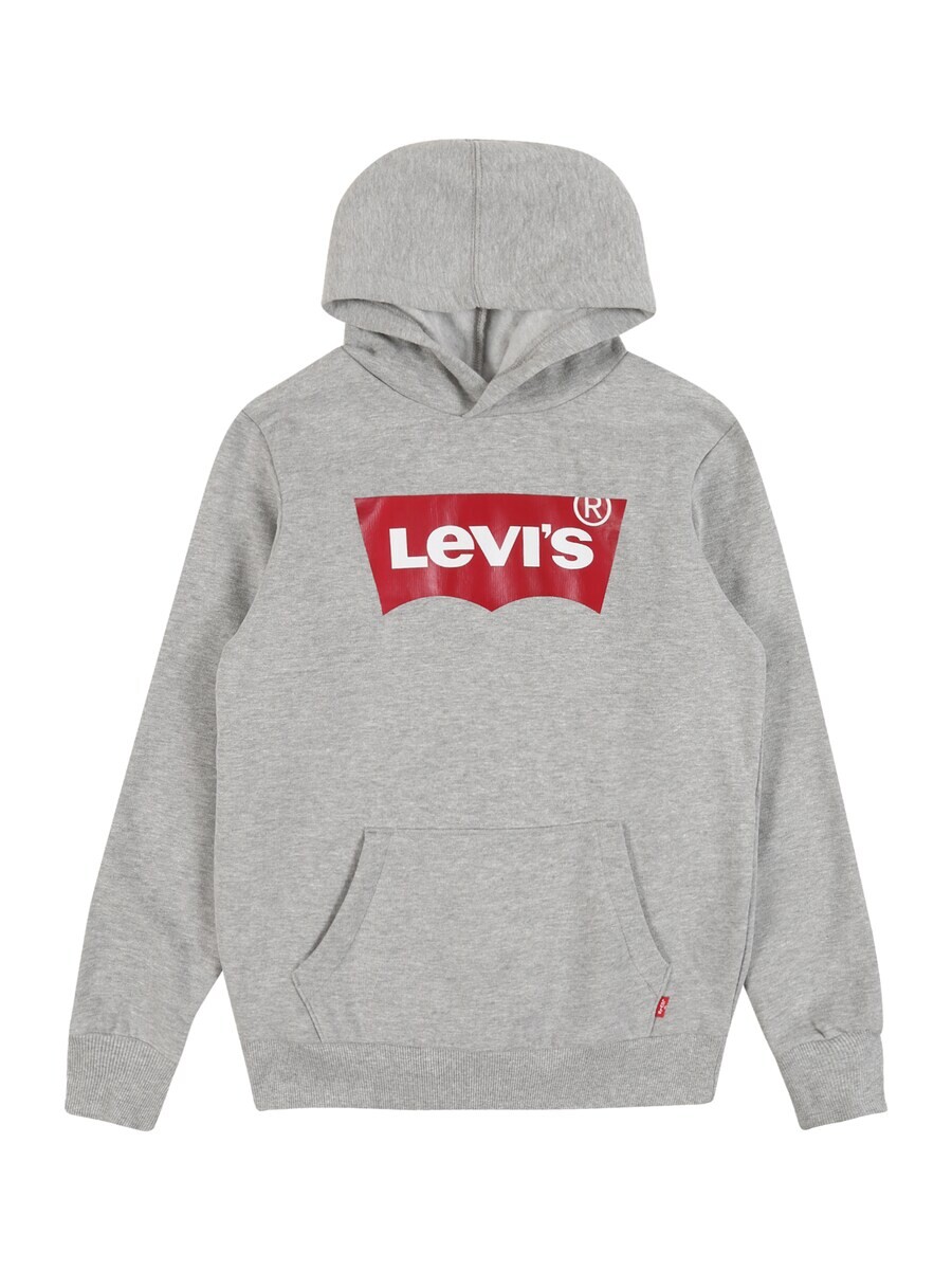 

Толстовка Levis Kids Regular fit Batwing, цвет mottled grey