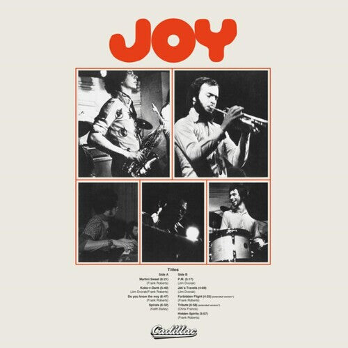 

CD диск Joy: Joy