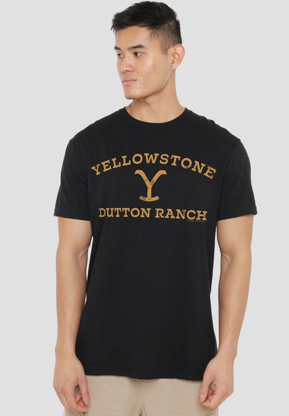 

Футболка с принтом STONE ARCHED LOGO Cotton Soul, черный