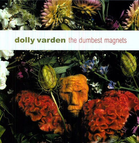 

Виниловая пластинка Dolly Varden: The Dumbest Magnets