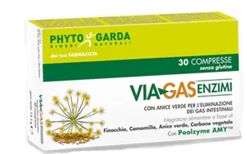 

Viagas Enzymes 30 таблеток Уголь и растительные экстракты Phyto Garda