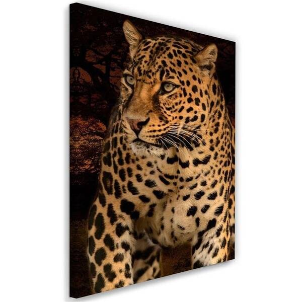 

Картина на холсте Feeby Leopard Wildtiere Natur, коричневый