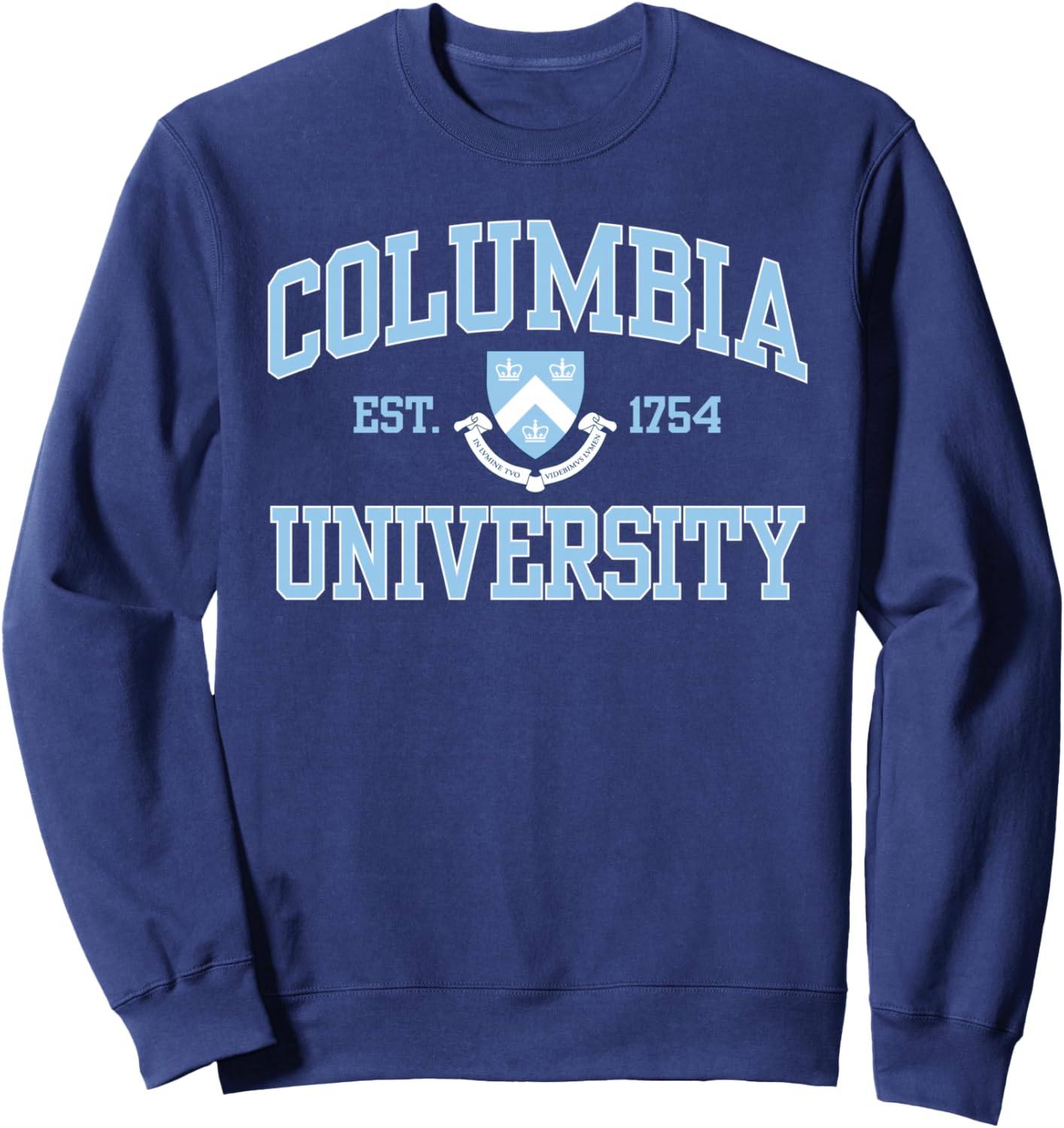 

Мужская толстовка Columbia Arch Overcrest Est. 1754, темно-синяя, Columbia, синий Columbia University