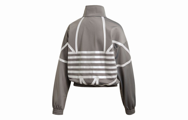 

Куртка женская Pure Ice Ash Adidas Originals, цвет Pure ice ash