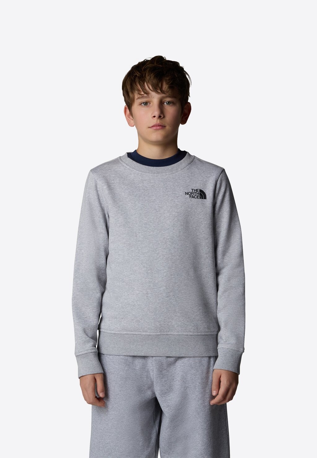 

Толстовка BOX NSE REGULAR CREW The North Face, светло-серый