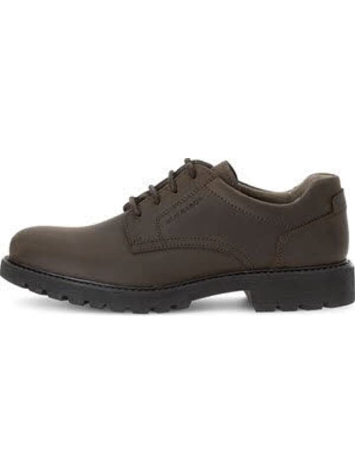 

Кроссовки на шнуровке Gabor Sneaker, коричневый