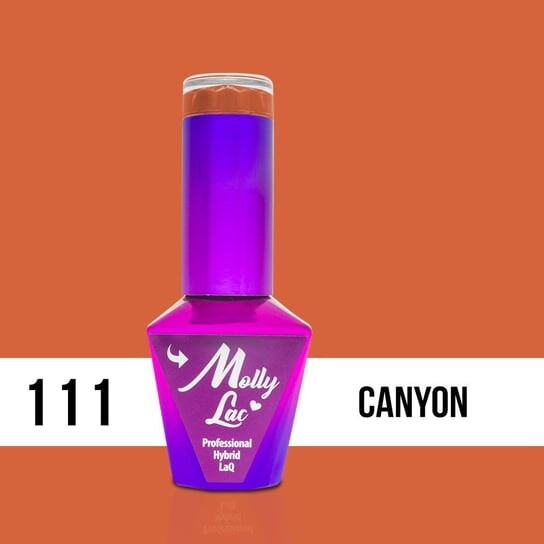 

Гибридный лак Mollylac Welc, Molly Lac
