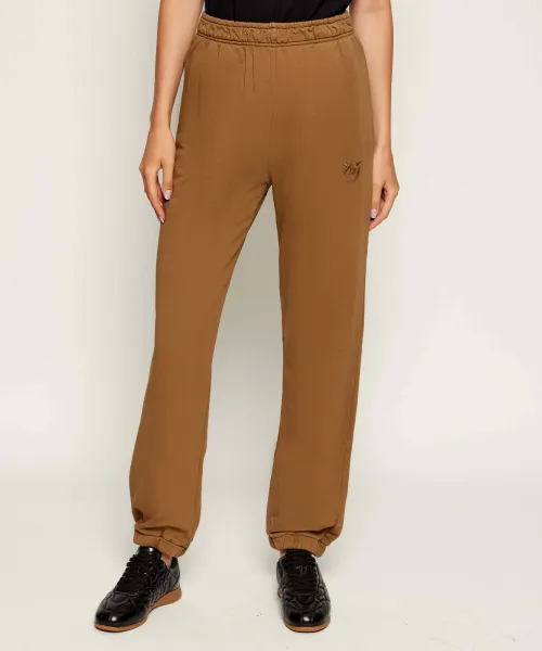 

Спортивные штаны Regular fit Pinko, коричневый