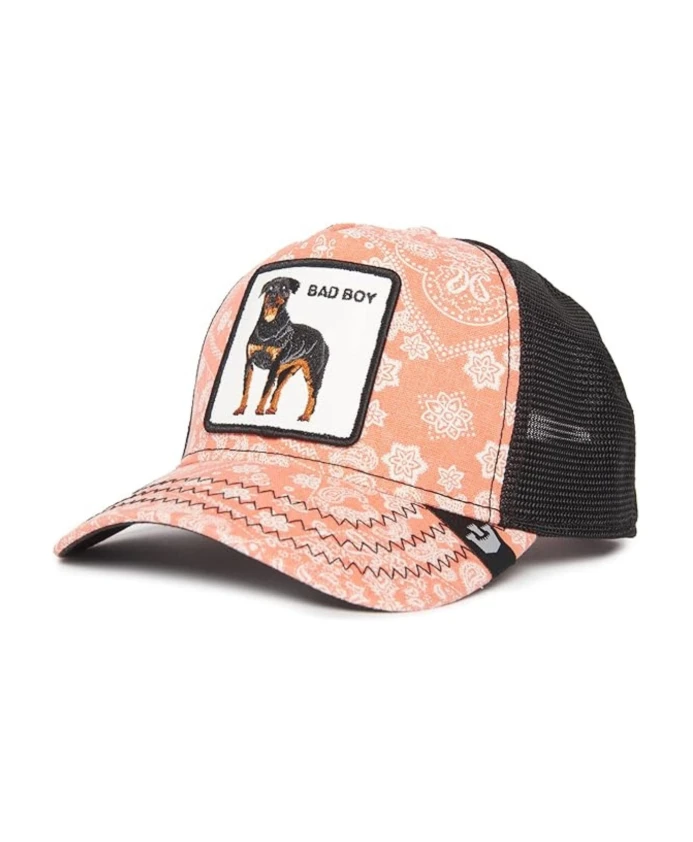 

Бейсболка «плохой парень с фермы животных» Goorin Bros, мультиколор