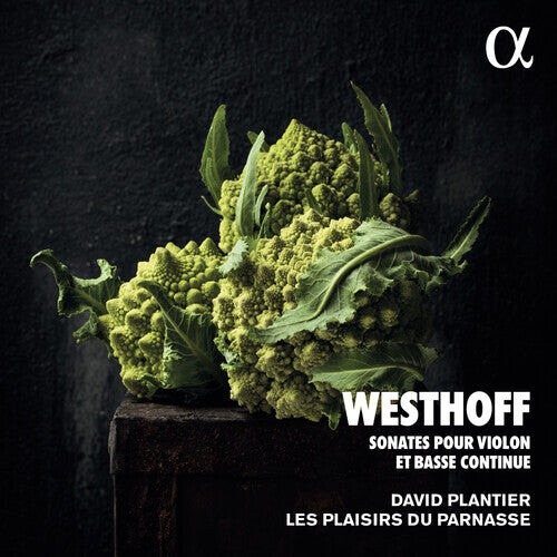 

CD диск Westhoff / Plantier: Sonates Pour Violon