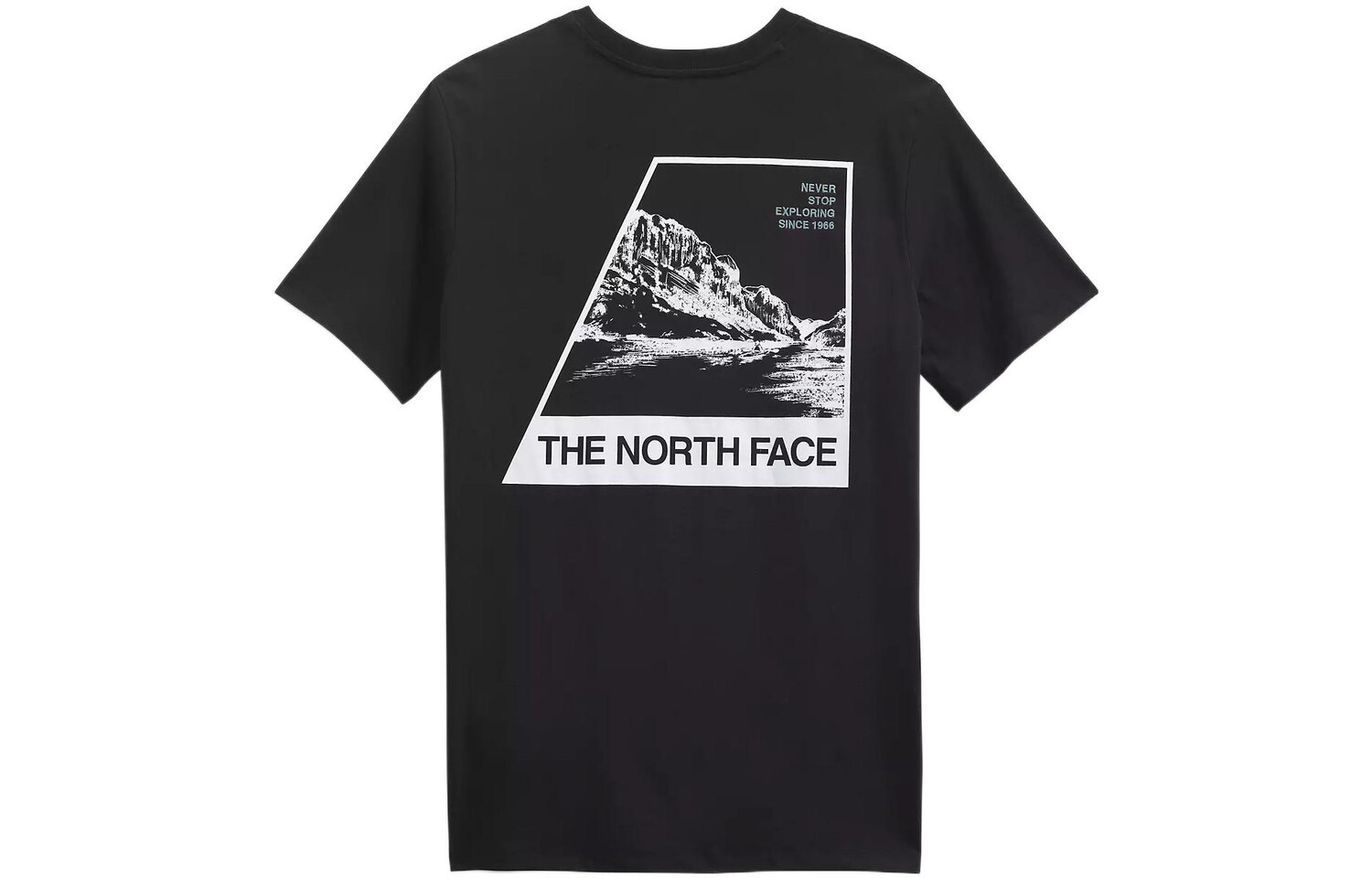 

THE NORTH FACE Мужская футболка, цвет Black