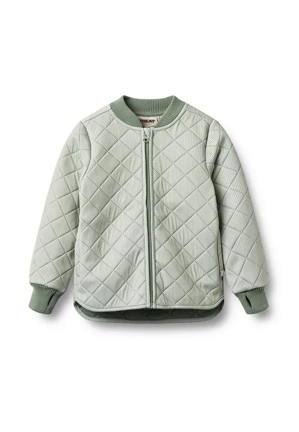 Легкая куртка thermo übergangs louis Wheat, Green Stripe