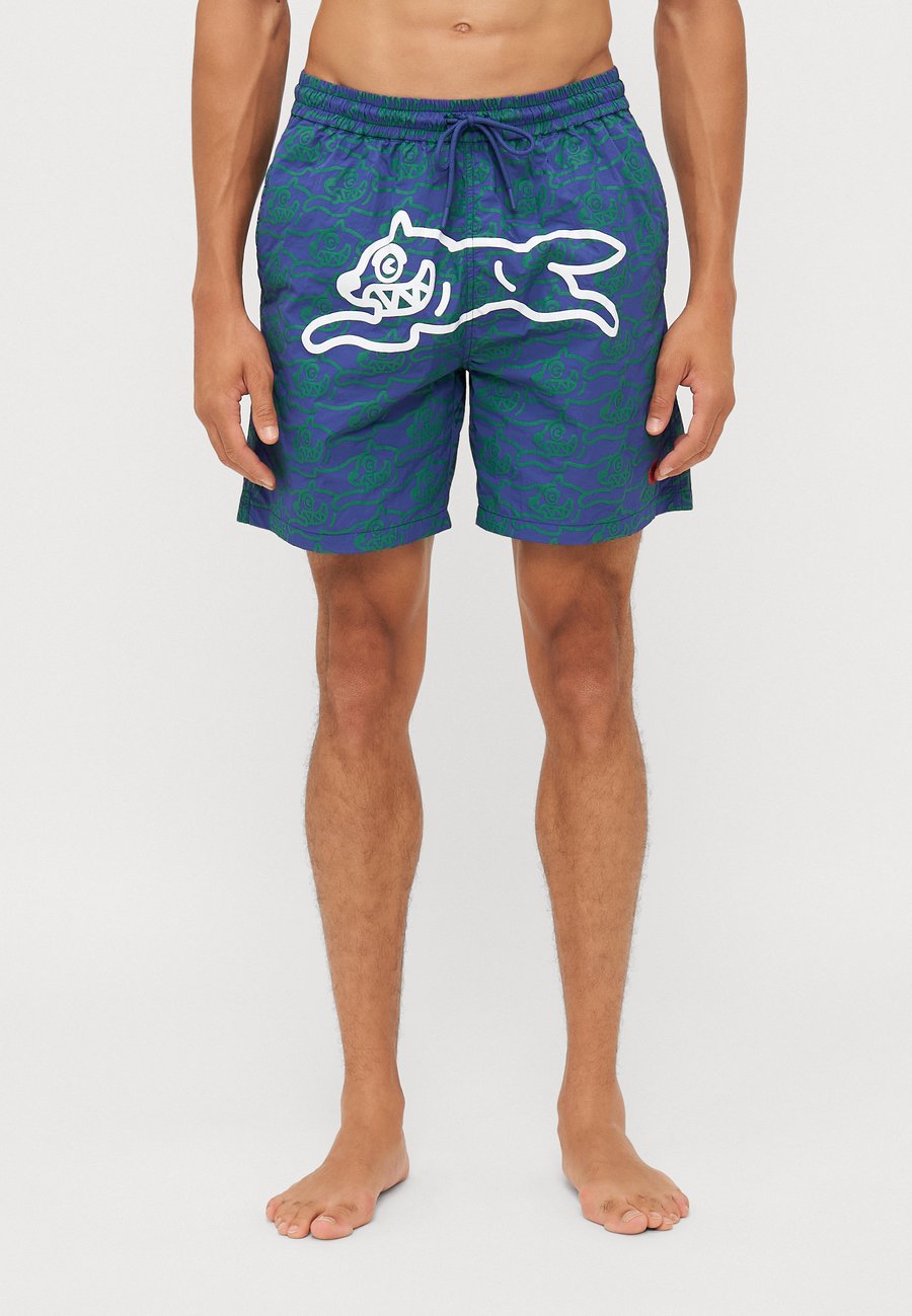 

Шорты для плавания Icecream RUNNING DOG SWIM, Green