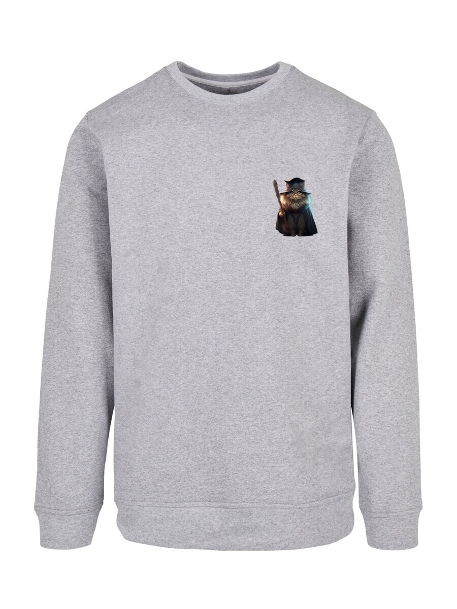 

Свитер F4NT4STIC Sweatshirt Wizard Cat, серый