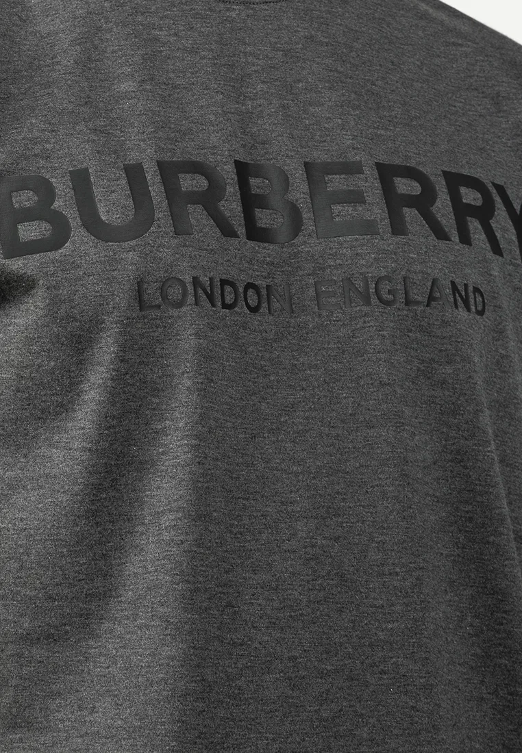Футболка мужская Ellison Burberry, с принтом, серый/темно-серый — фото 3