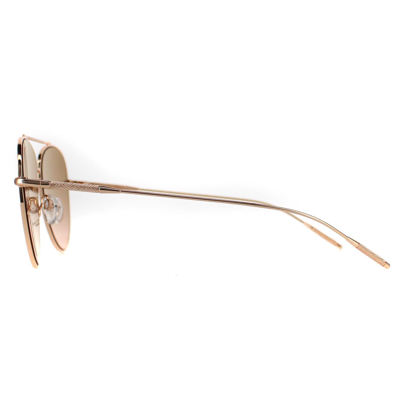 

Aviator Rose Gold Brown Gradient TB1625 Sutton Ted Baker, золото