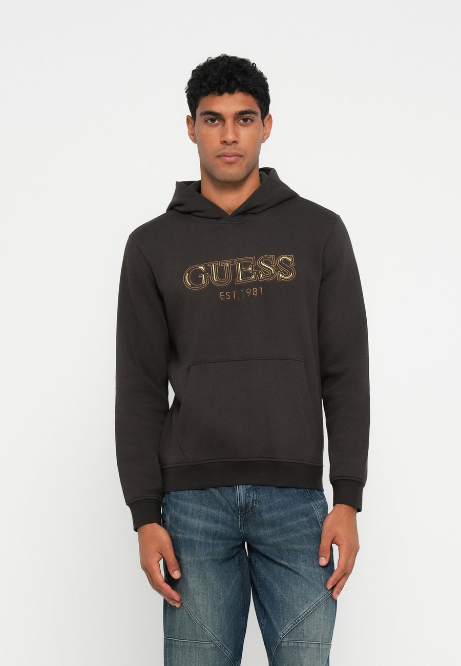 

Толстовка Guess HOODED BASIC, Bark Brown/Brown