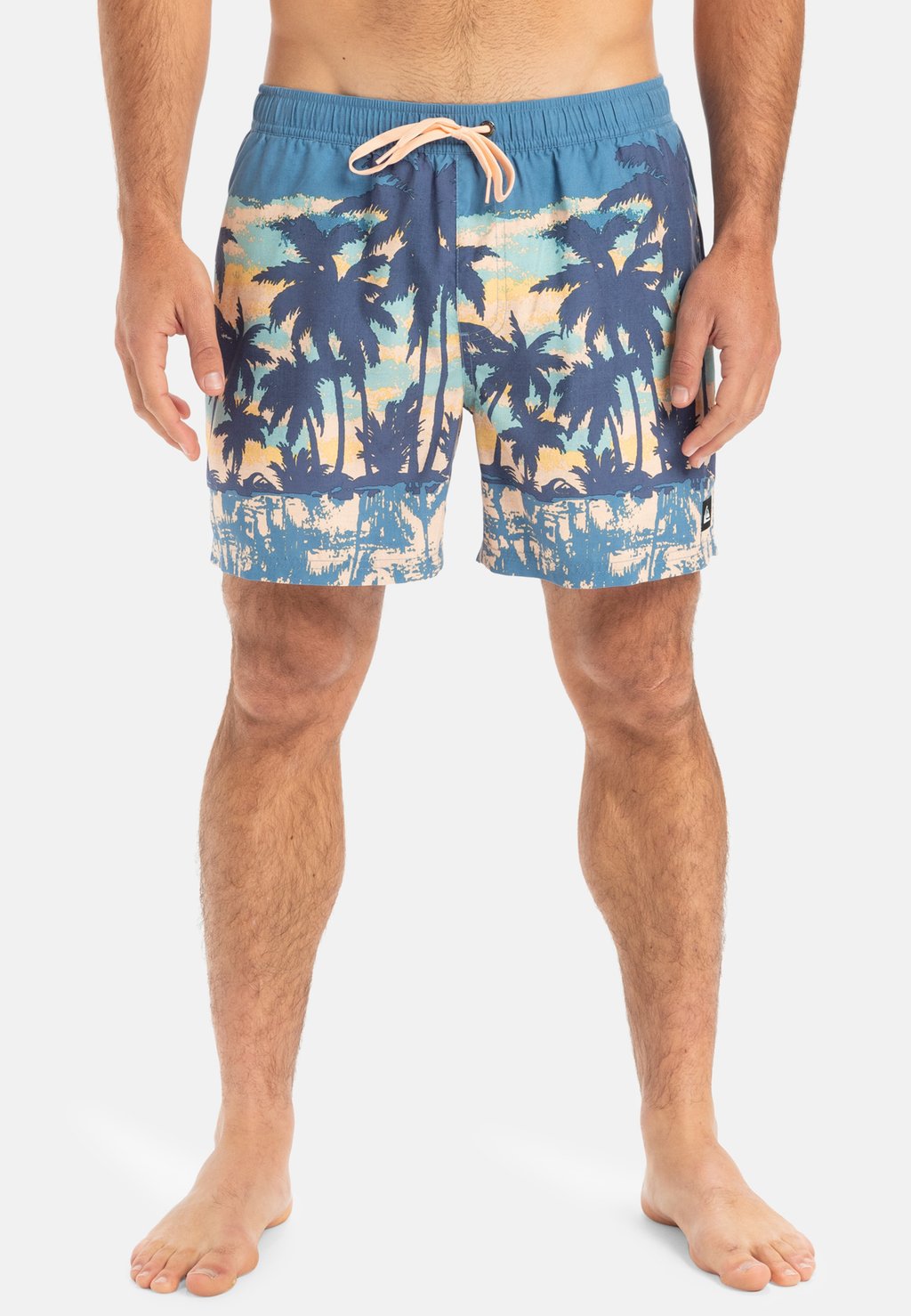 

Шорты для плавания EVERYDAY STRAIGHT Quiksilver, синий