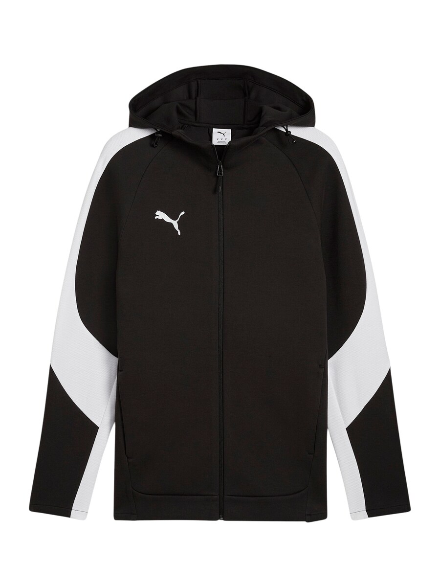 

Спортивная толстовка с капюшоном на молнии PUMA TeamEvostripe, черный