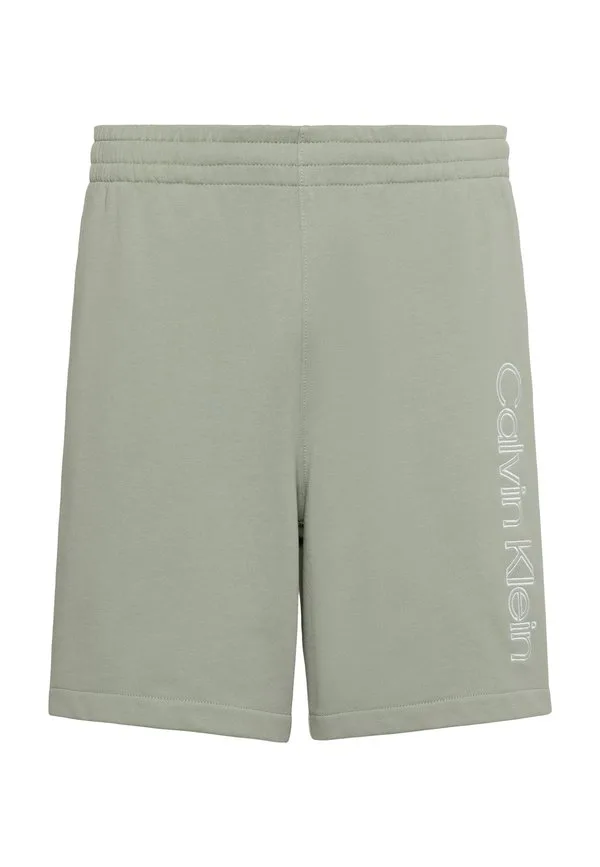 Спортивные шорты с графическим принтом Calvin Klein, Shadow — фото 4
