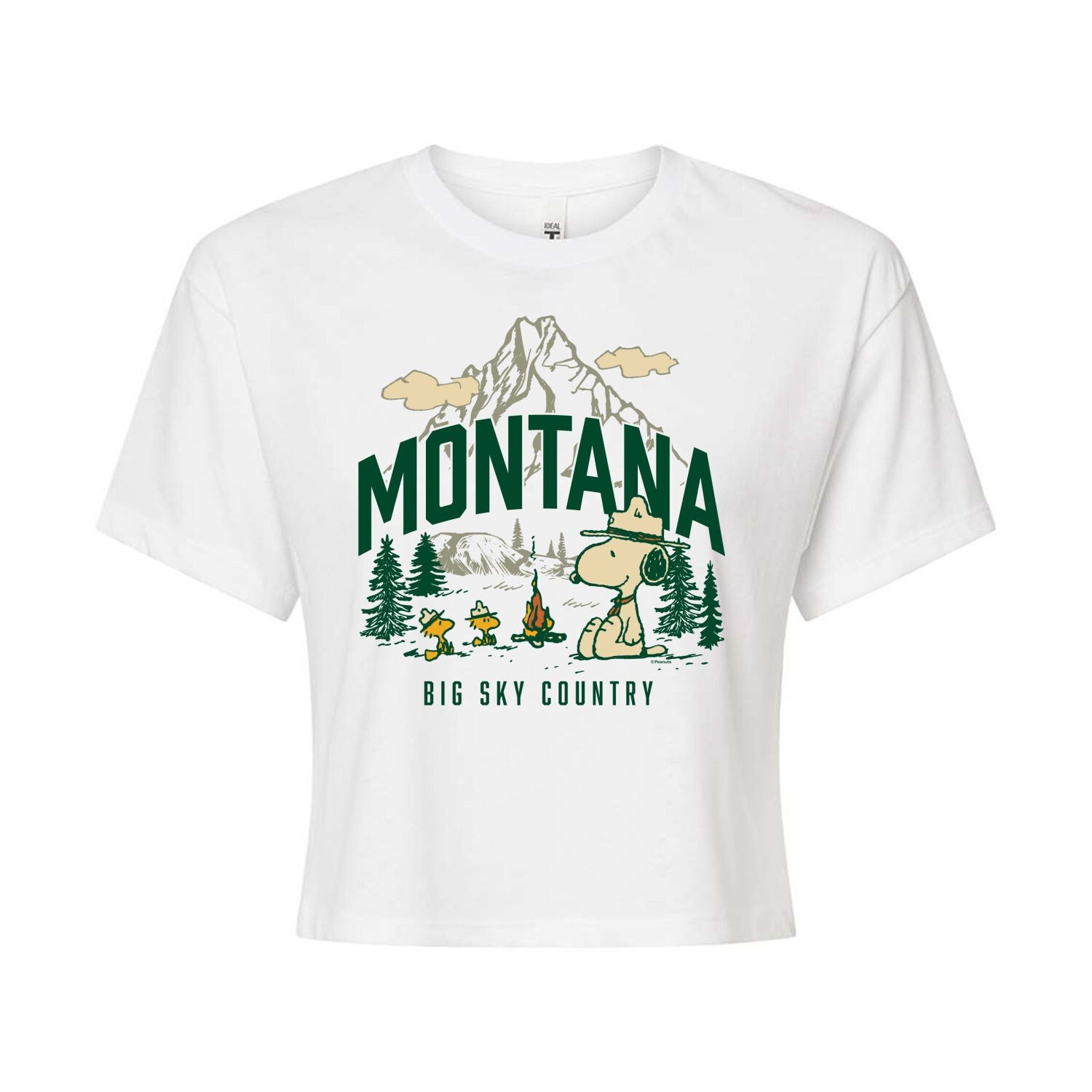 

Укороченная футболка с рисунком Peanuts Montana для юниоров Licensed Character, белый