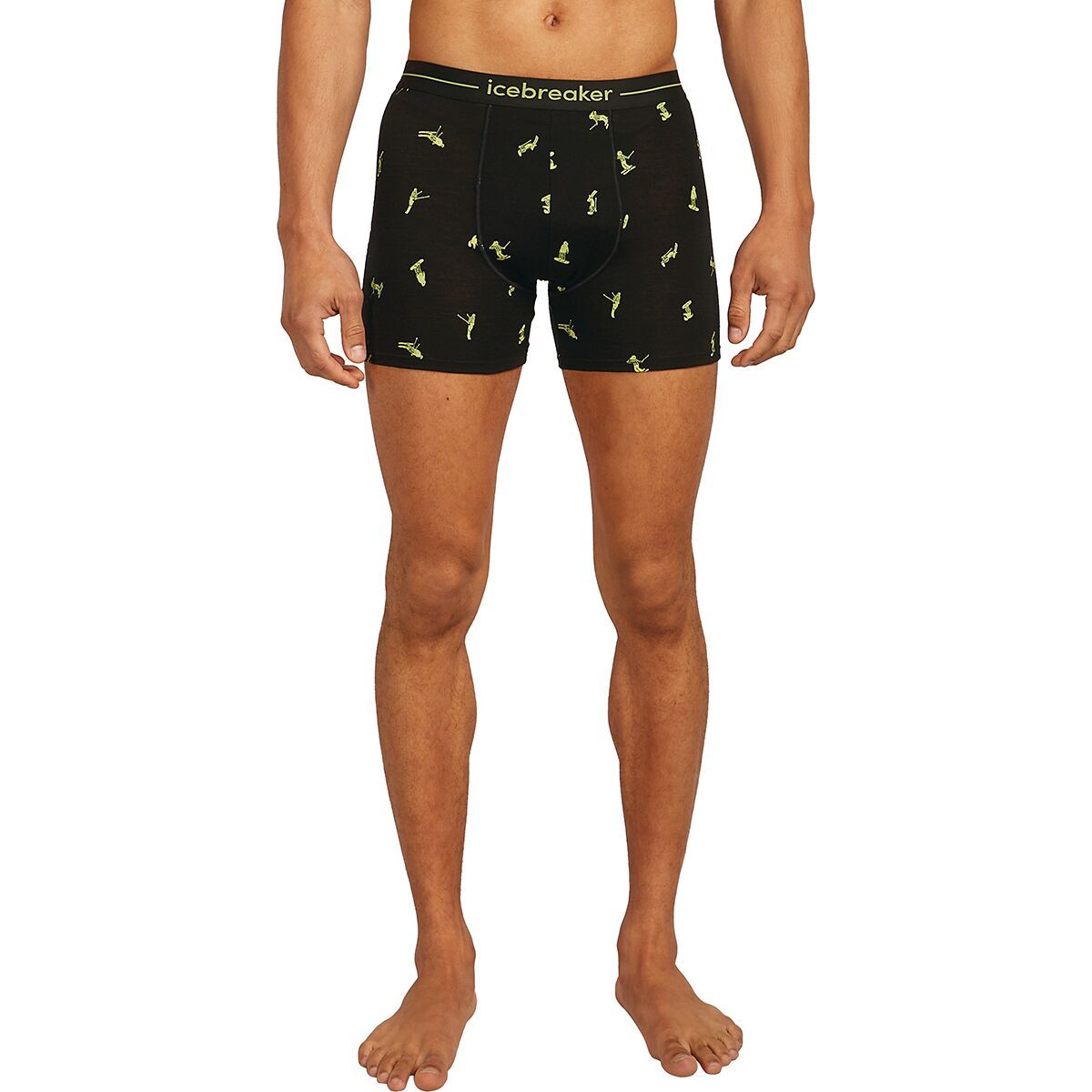 

Боксеры Merino 150 Anatomica - Ski Day Icebreaker, мультиколор