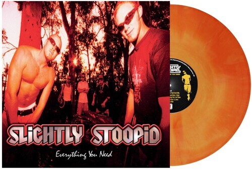 

Виниловая пластинка Slightly Stoopid: Everything You Need