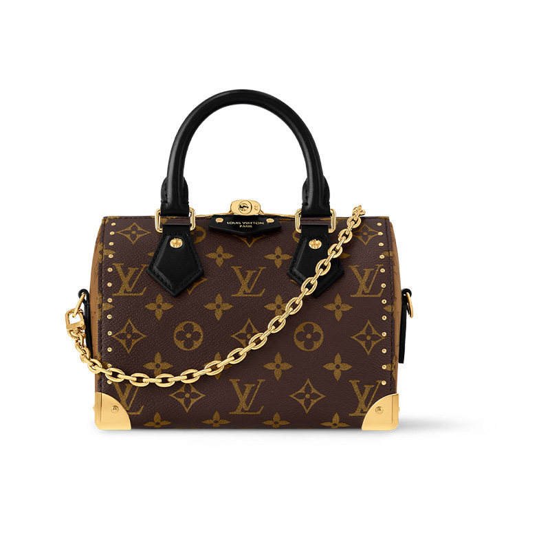 

LOUIS VUITTON Скоростной багажник 20 Женская сумка Коричневая