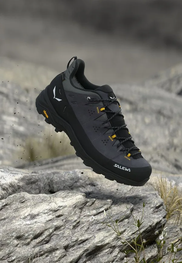 Походные ботинки alp trainer 2 gtx Salewa, Onyx/Black