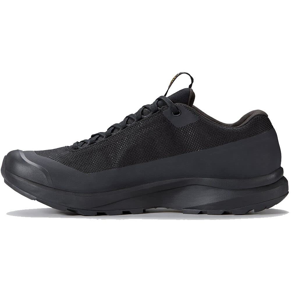 

Треккинговые ботинки Arc'teryx Aerios FL 2 GTX, черный