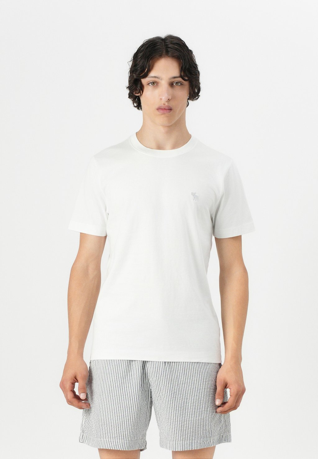 

Базовая футболка PUFFY MOOSE ICON CREW Abercrombie & Fitch, белый